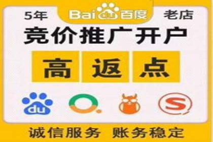 SEM优化策略案例分析